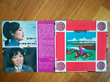 Звуковой журнал Кругозор 2 (1971)-Ex., (комплект; 4, 5, 6 пластинки отделены от замка) (2)