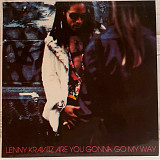 Lenny Kravitz - Are You Gonna Go My Way - 1993. (LP). 12. Vinyl. Пластинка. Rare