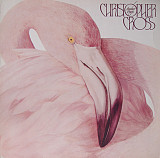 Christopher Cross + Steve Lukather + Don Henley + Steve Gadd = Another Page ( USA ) LP