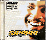 Shaggy – «Hot Shot»