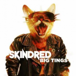 Skindred – Big Tings (vinyl, LP)