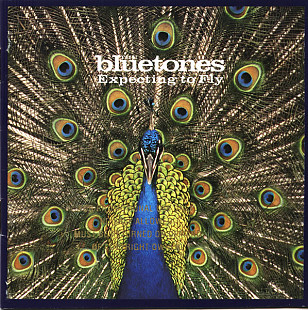 The Bluetones – Expecting To Fly ( A&M Records – 31454 0475 2, Superior Quality Recordings) ( USA )