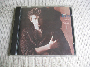 DON HENLEY / BUILDING THE PERFECT BEAST / 1984