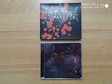 Gorgasm – Orgy Of Murder. CD, Album, Repress, Slipcase. Канада