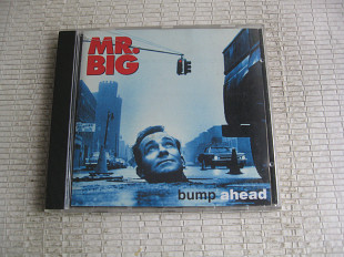 MR.BIG / BUMP A HEAD / 1993