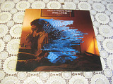 Пластинка виниловая The Alan Parsons Project " Pyramid " 1978 Germany