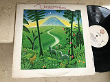 Urubamba ( USA ) Style : Andean Music ( Producer – Paul Simon ) LP