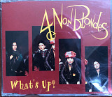 4 Non Blondes - “What's Up?”, Single