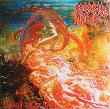 Morbid Angel - Blessed Are The Sick Silver FDR Vinyl Запечатан