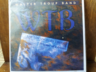 Walter Troup band WTB Айронд