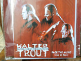 Walter Troup band face the musik Айранд