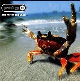 Prodigy ‎– The fat of the land vinyl