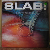 Slab! ‎– Sanity Allergy