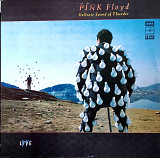 Pink Floyd / Delicate Sound of Thunder /double album