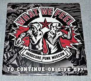 Винил What We Feel - To Continue Or Give Up