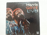 Marvin Gaye Live USA