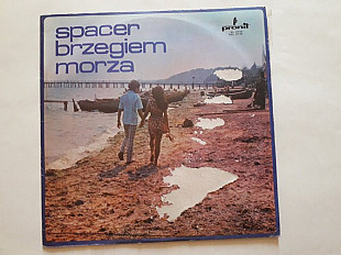 Spacer brzegiem morza