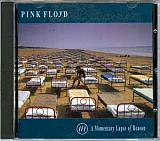 Pink Floyd ‎– A Momentary Lapse Of Reason Japan