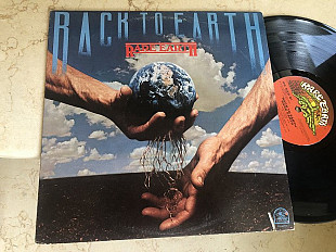 Rare Earth ‎– Back To Earth ( USA ) LP