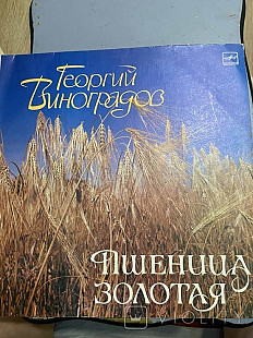 Георгий Виноградов Пшеница Золотая