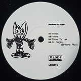 Unknown Artist – LODE003 -DJ VINYL