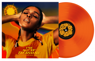 Janelle Monáe - The Age Of Pleasure