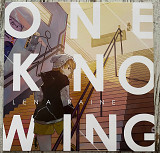 Lena Raine – Oneknowing 12" LP