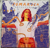 Pumarosa – Devastation LP