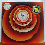 Stevie Wonder – Songs In The Key Of Life (2LP, Black Ring + 7"+ 24-Page Lyric Booklet)