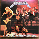 Metallica – Live in Mountain View 1989 -23