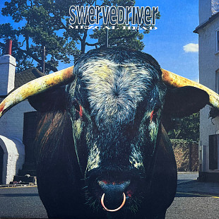Вінілова платівка Swervedriver – Mezcal Head