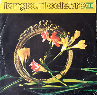 Orchestra Electrecord – Tangouri Celebre III