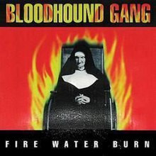 Вінілова платівка Bloodhound Gang - Fire Water Burn