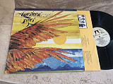 American Flyer ( Larry Carlton ) – American Flyer ( USA ) LP