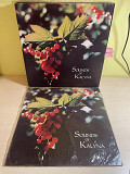 Sounds Of Kalyna, Чарівний звук "Калини", 1981, HRS 1208, Canada (запечатана)