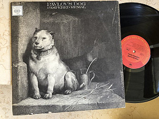 Pavlov's Dog – Pampered Menial ( USA ) LP