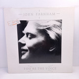 John Farnham – You're The Voice MS 12" 45RPM (Прайс 32496)