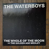 The Waterboys – The Whole Of The Moon And The Golden Age Medley MS 12" 45 RPM, произв. Europe