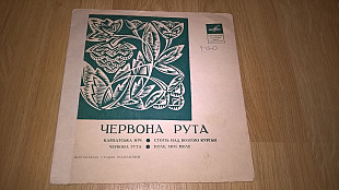 Червона Рута (Червона Рута) 1975. (LP) 7. Флекси. Цвет Синий. Пластинка