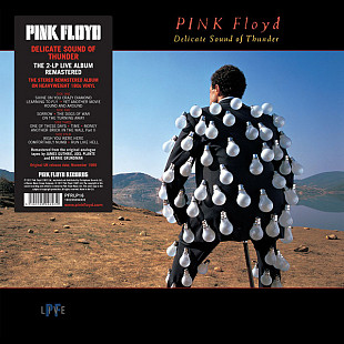 Pink Floyd – Delicate Sound Of Thunder -88 (17)