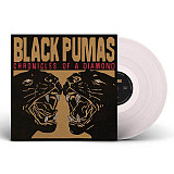 Black Pumas – Chronicles Of A Diamond (LP)