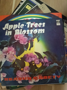 Apple Trees in Blossom
