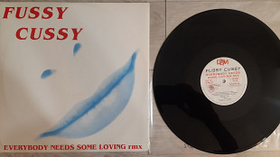 FUSSY CUSSY ( EURO HOUSE ) EVERYBODY NEEDS SOME LOVING ( DDM 123 ) 1995 ITAL