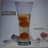Flycatcher – ovulation
