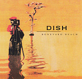 Dish – Boneyard Beach ( USA )
