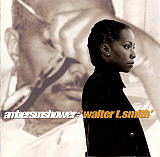 Ambersunshower – Walter T. Smith ( USA ) Acid Jazz, Future Jazz, Trip Hop