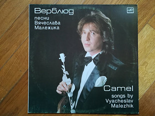 Верблюд-Песни В. Малежика (3)-Ex., Мелодія