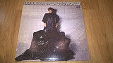 Goldie Ens (Plastic World) 1986. (LP). 12. Vinyl. Пластинка. Czechoslovakia.