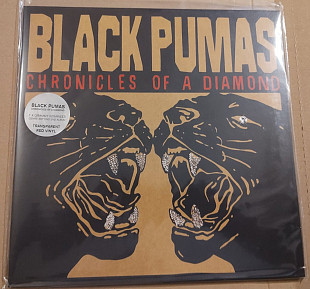 Black Pumas – Chronicles Of A Diamond (Red Transparent Vinyl)