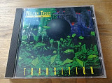 CD диск Walter Trout Band – Transition